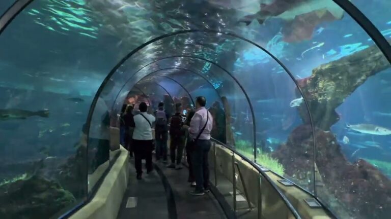 Guida alle Migliori Recensioni dell’Acquario di Barcellona