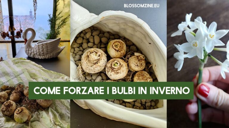 Dove Acquistare Prodotti Stefanplast: Guida Completa