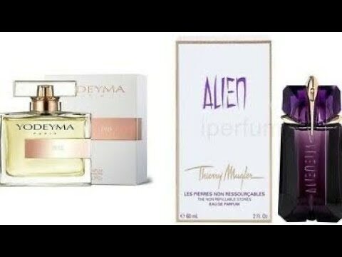 Yodeyma: La Corrispondenza Perfetta di Donna