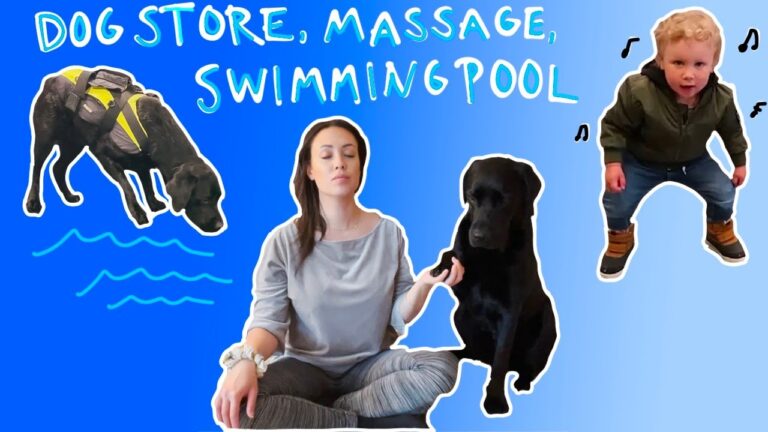 Recensioni su Dogtore: La Guida Definitiva per Proprietari di Cani
