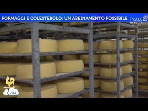 Asiago: Il Formaggio e il Colesterolo