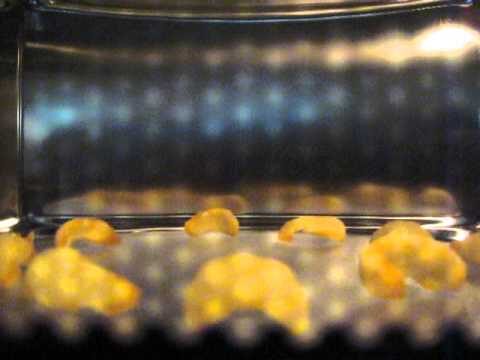 Cipster: Il Snack Senza Glutine Perfetto