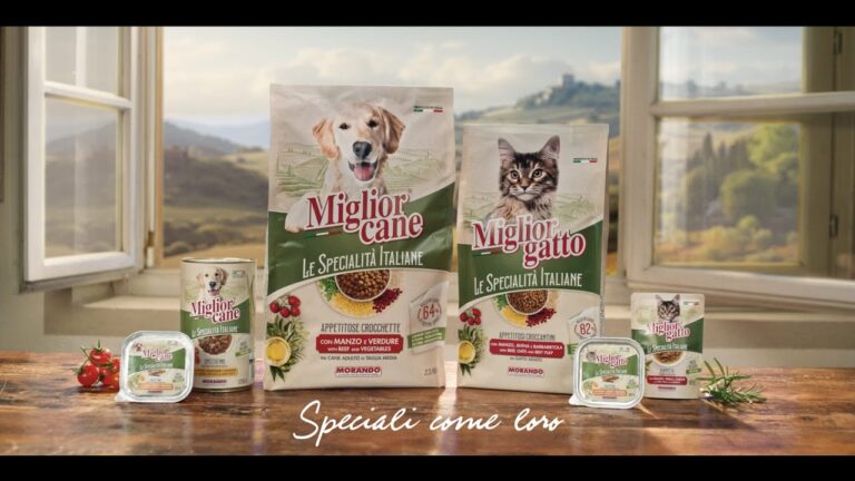 Le Migliori Crocchette per Cani: Opinioni e Recensioni
