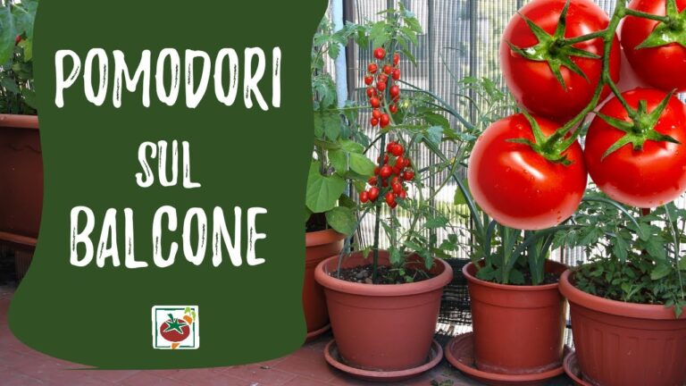 Viridea: Vasi da Esterno per Ogni Giardino