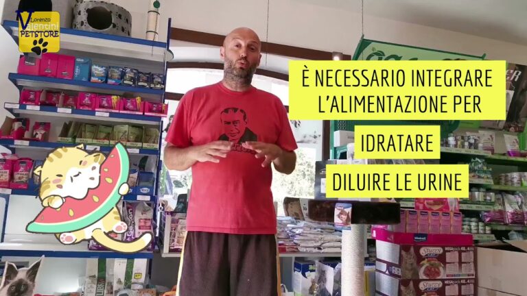 Recensioni di Hydra Care per Gatti