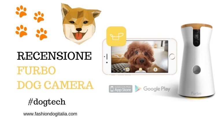 Recensioni di Negozi di Animali: Guida all’Acquisto Ideale