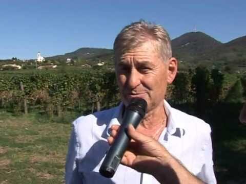 Recensioni su Agriturismo Bacco e Arianna
