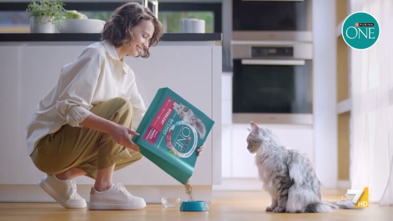 Recensioni su Acqua Eva: Scopri il Giusto Gusto
