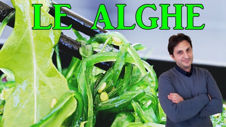 Guida all’acquisto dell’alga wakame al supermercato