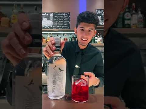 Il Campari: Un Aperitivo Alcolico Iconico