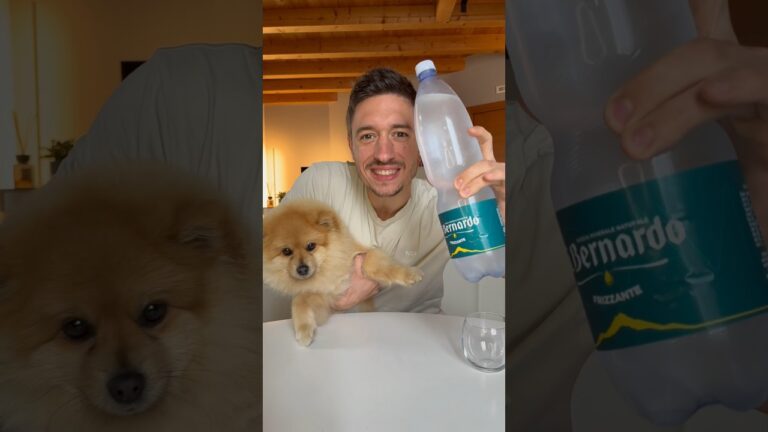 Recensioni Acqua Nevea: Scopri il Giusto Prodotto per Te