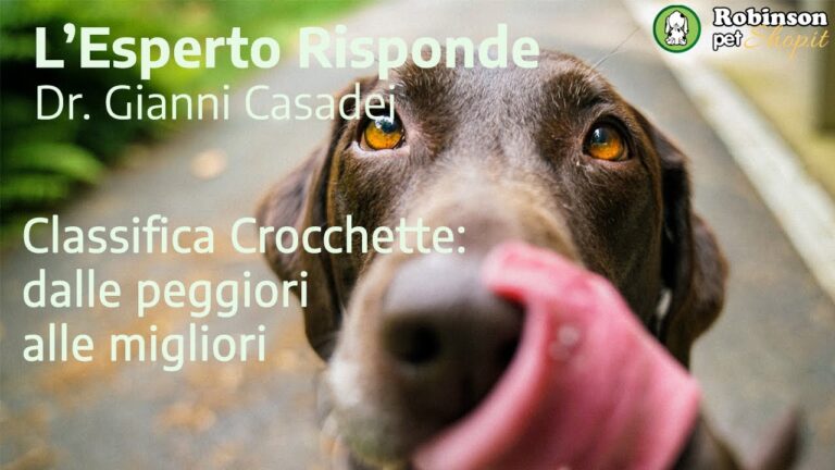 Recensioni di O-Life Gatto: Scopri il Meglio per il Tuo Felino