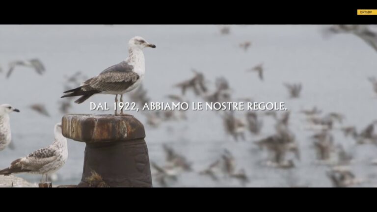 Dove Comprare Tonno Coalma: Guida Completa