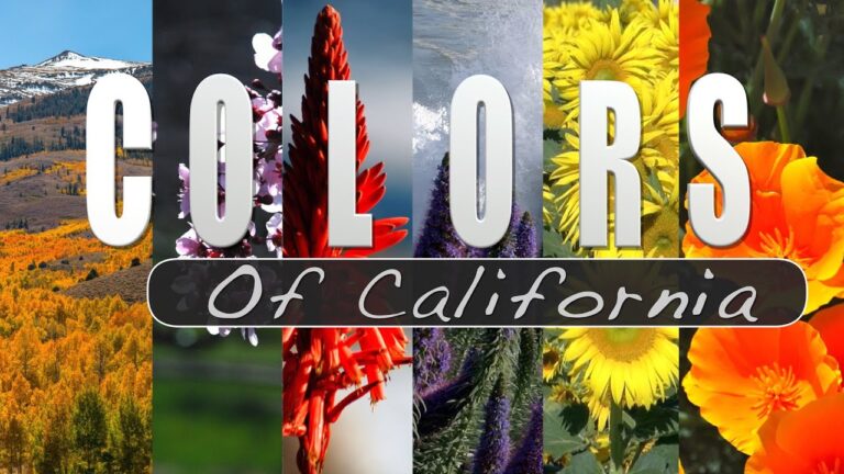 Recensioni sui Colori della California