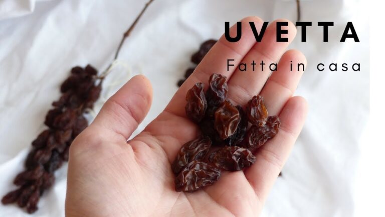 I Benefici del Detto di Uva Essiccata per la Salute