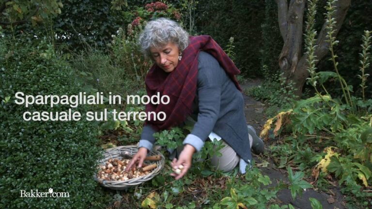 Catalogo Completo Bakker Bulbi: Guida alla Scelta dei Fiori