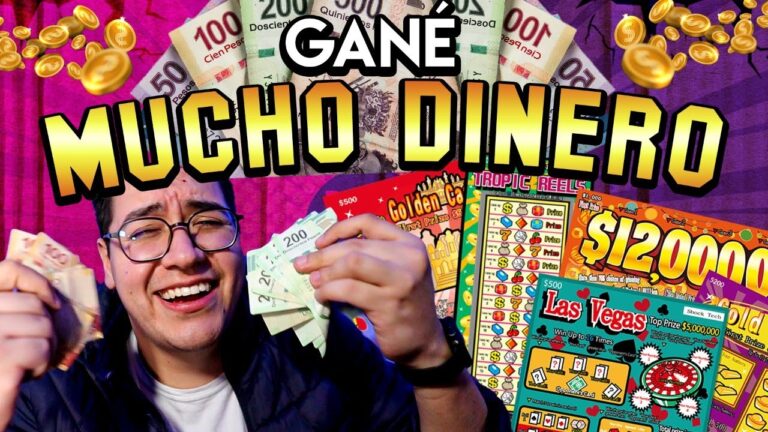 Dove Comprare il Taco Winner: Guida Completa