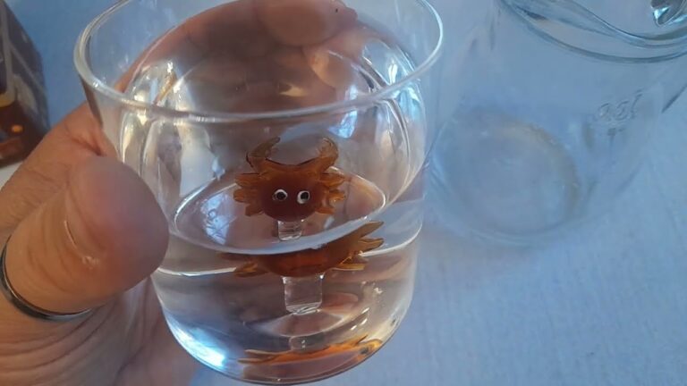 Recensioni sull’Acqua Conad: Qualità e Opinioni dei Consumatori