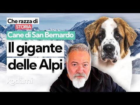 Il bastone di Beethoven: simbolo di forza e vulnerabilità