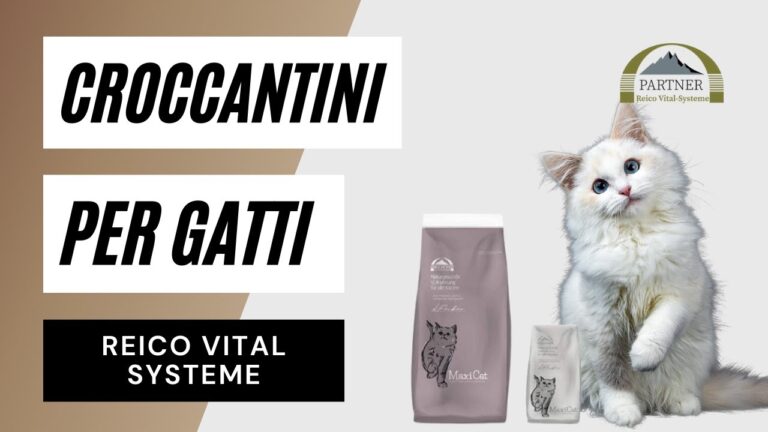 Radames Gatti: Eccellenza nella Qualità