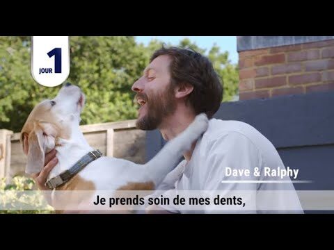 Dentalife di Purina: Salute Orale per Fido