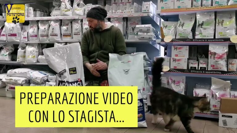 Opinioni sulle Crocchette Advance: Qualità e Vantaggi