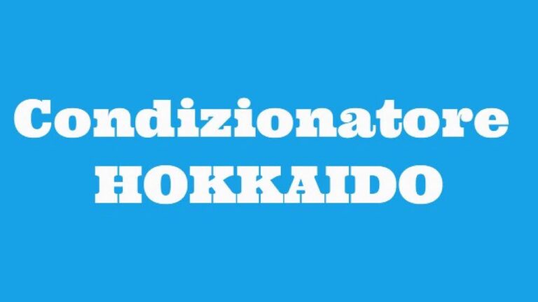Prezzi dei Condizionatori a Hokkaido: Guida all’Acquisto