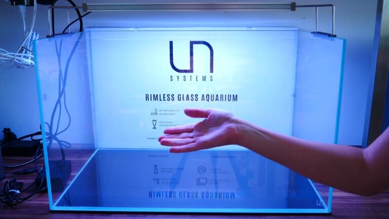 Olibetta: Recensioni e Opinioni degli Utenti