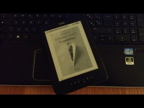 Analisi della Trama de Il Cardellino