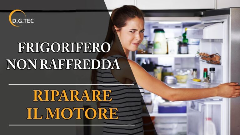 Sekom: Quale Marca Scegliere?