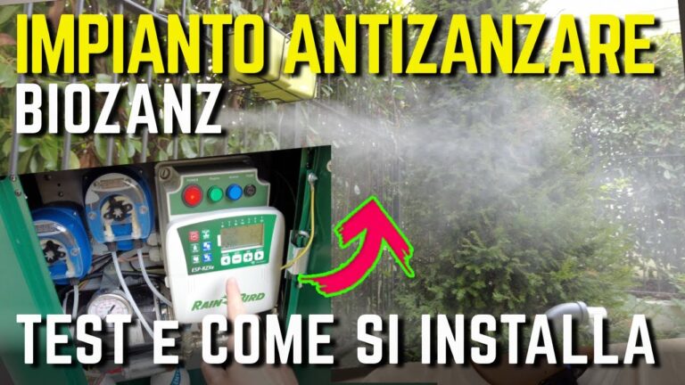 Zenzero: Vantaggi e Prezzo Accessibile