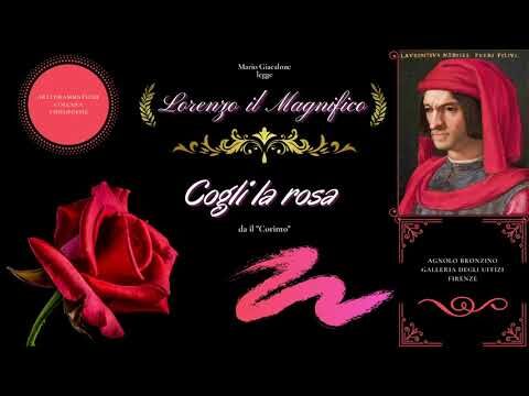 La Celeberrima Dinastia Fiorentina: Storia e Influenza
