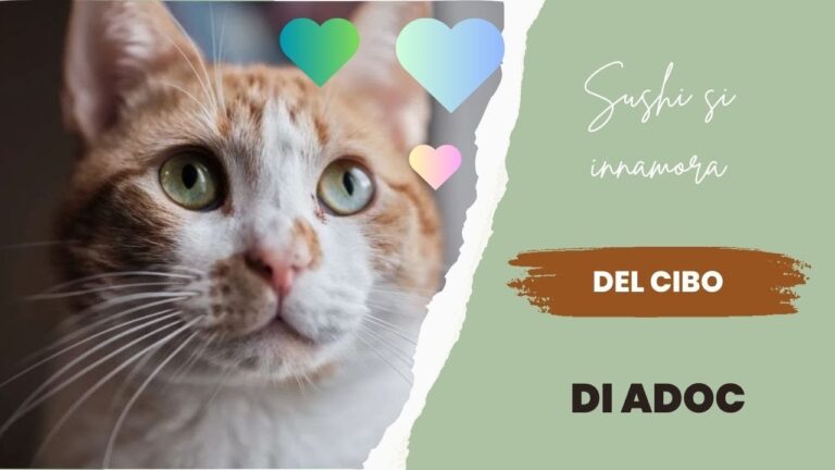 Adoc Gatti: Opinioni e Riflessioni sul Settore Felineo