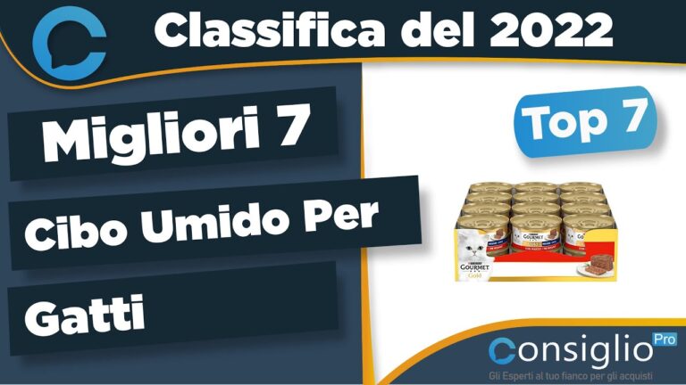 Scatolette Gourmet per Gatti: Il Massimo del Gusto Felineo
