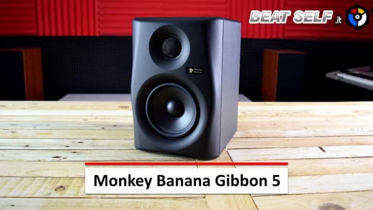 Recensioni di Banana Music: Un’Analisi Completa