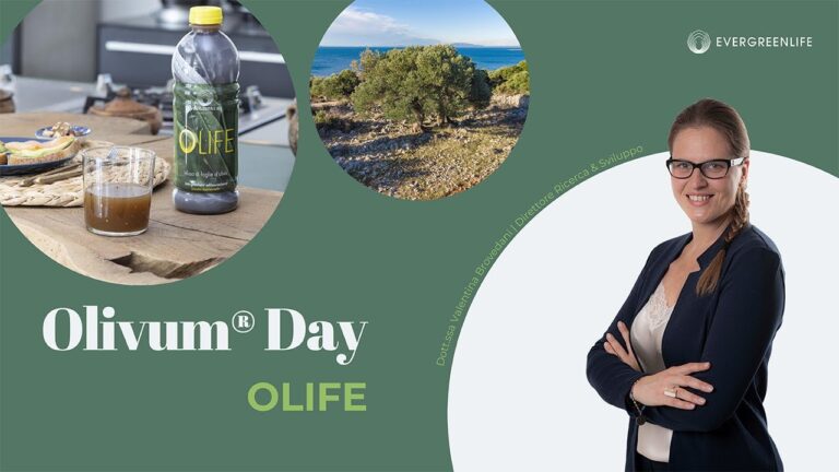 Evergreen Life: Opinioni Negative e Riflessioni Sincere