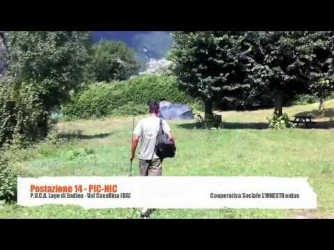Picnic al Lago di Endine: Natura e Relax