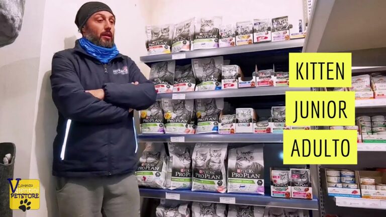 Recensioni di Purina Pro Plan per Gatti: Scopri il Migliore Cibo Feline
