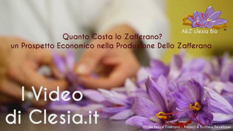 Prezzo del Bulbo di Zafferano: Cosa Sapere