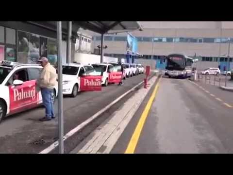 Recensioni su Kingparking Fiumicino: Qualità e Servizio