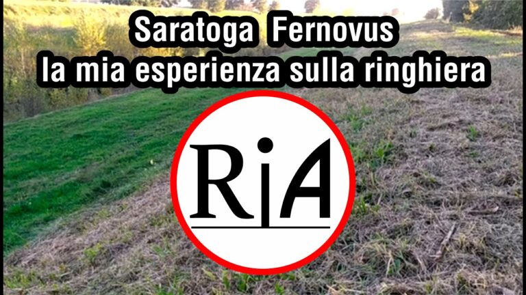 Saratoga Fernovus: Recensioni e Opinioni Utili