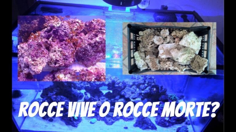 Roccia Viva Acqua: Un’Armona di Natura e Design