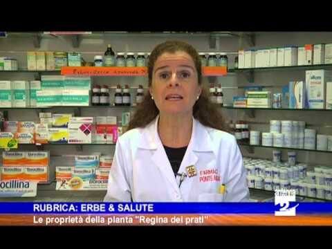 Scopri le Proprietà della Regina dei Prati