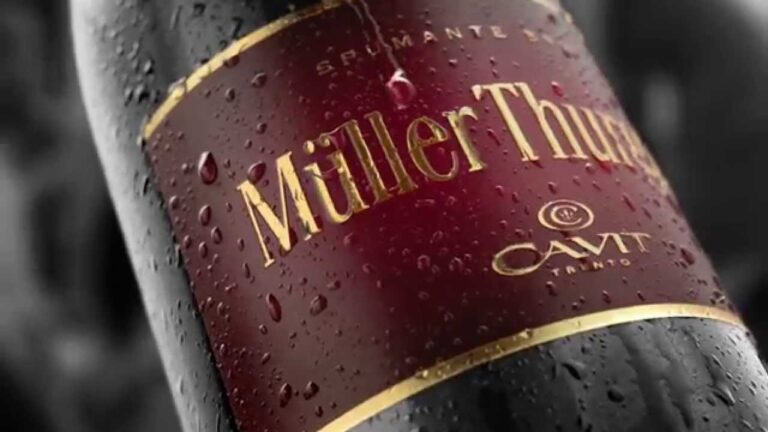 Müller Thurgau Spumante Brut: Prezzi e Caratteristiche