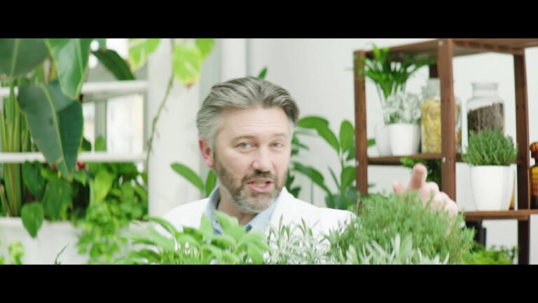 Recensioni del Multivitaminico L’Angelica: Efficacia e Opinioni