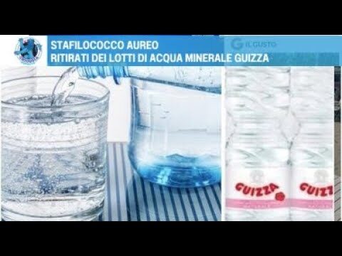 Ritiri dell’Acqua nel Saguaro: Impatti e Soluzioni