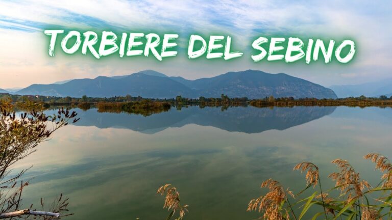 Esplorando le Recensioni della Riserva Naturale Torbiere del Sebino
