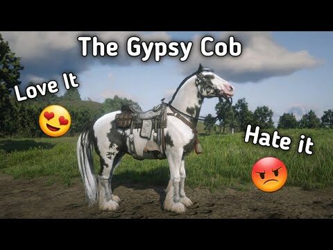 Acquista Gipy Online: Offerte Imperdibili!
