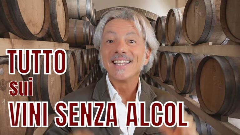 Vino Senza Alcol: Scopri le Offerte Conad
