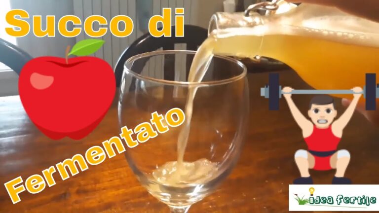 Scopri il Gusto della Bibita Poco Dolce